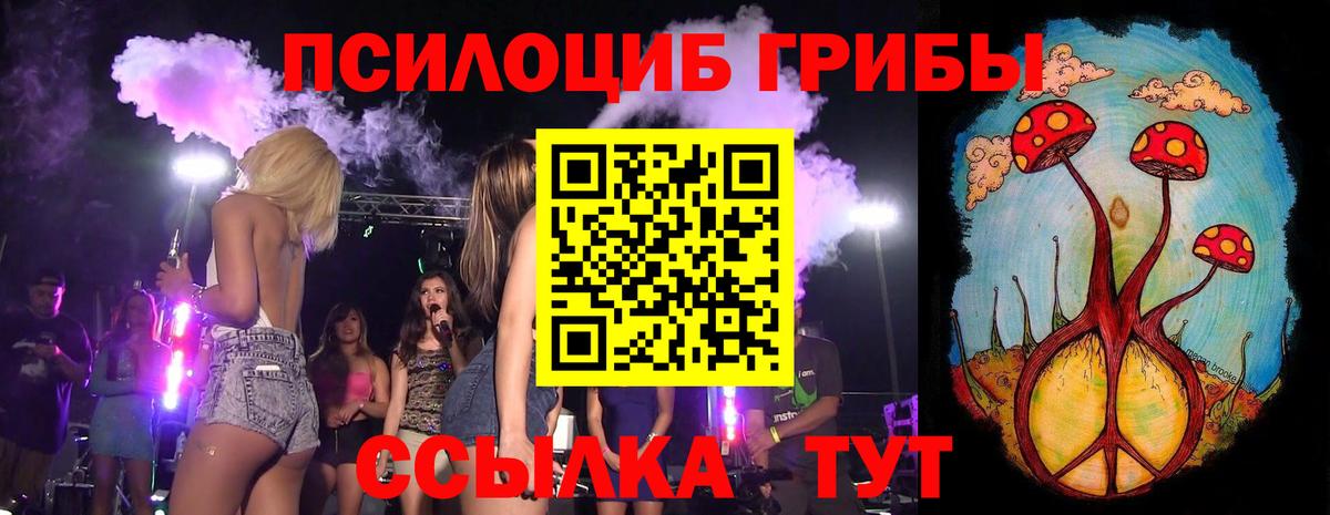 Галлюциногенные грибы Cubensis  Вход с VPN  Владивосток 