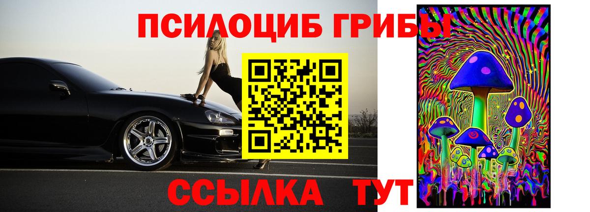 Галлюциногенные грибы GOLDEN TEACHER Владивосток